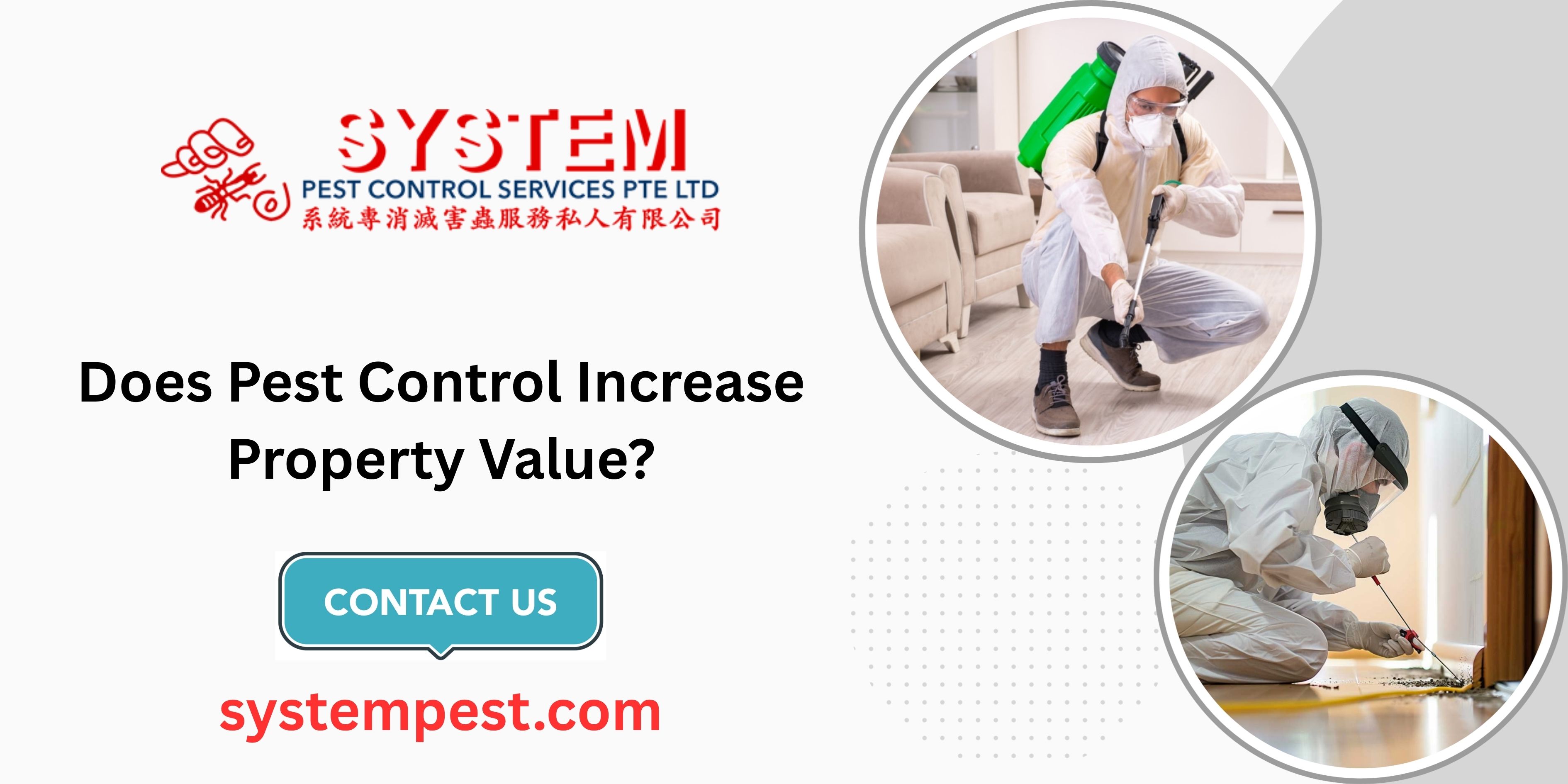 Does Pest Control Increase Property Value?